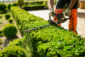 SEO for Landscaper Websites-Houston-TX